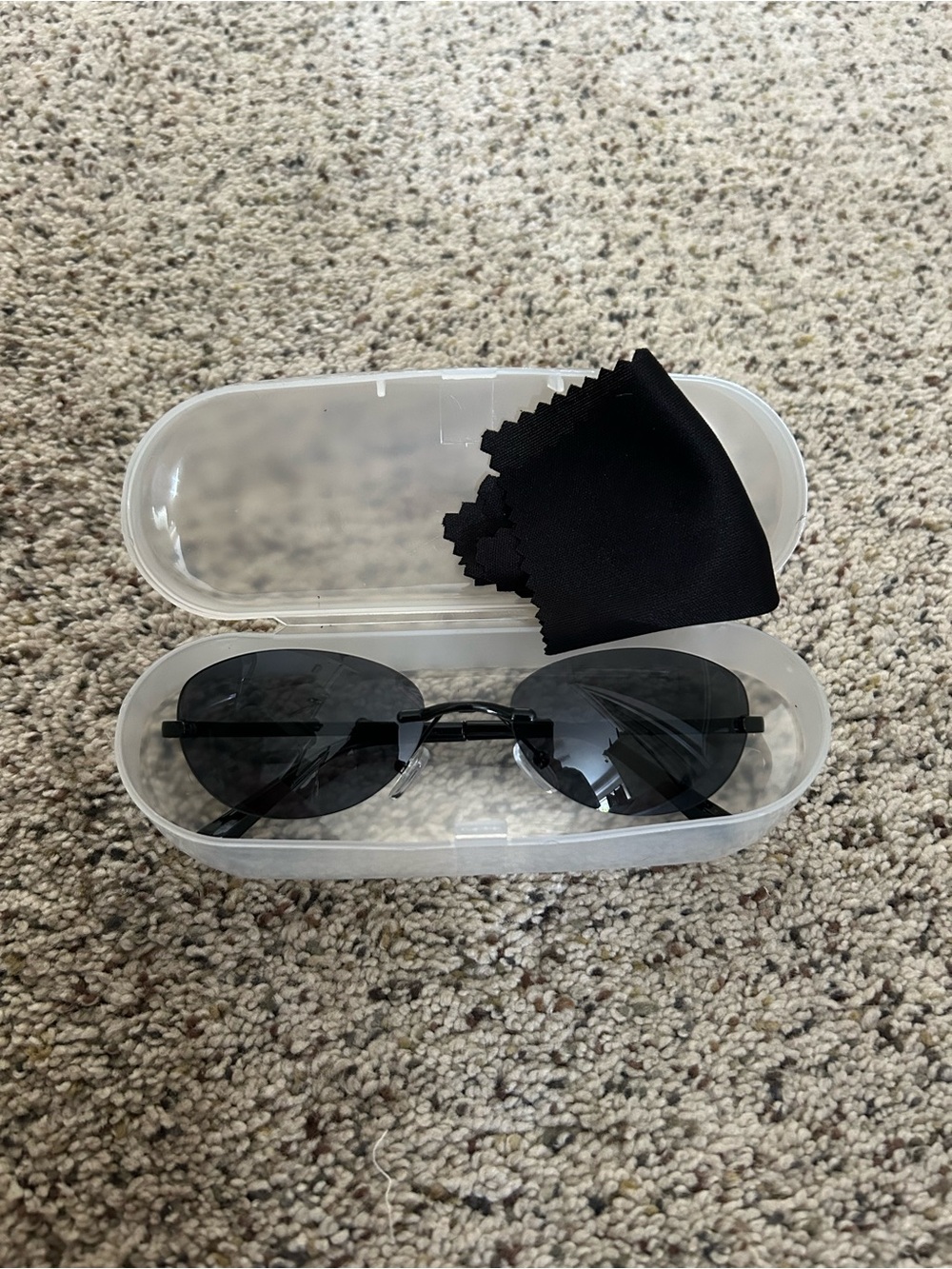 Oval Black Lens Sunglasses with Clear Case
